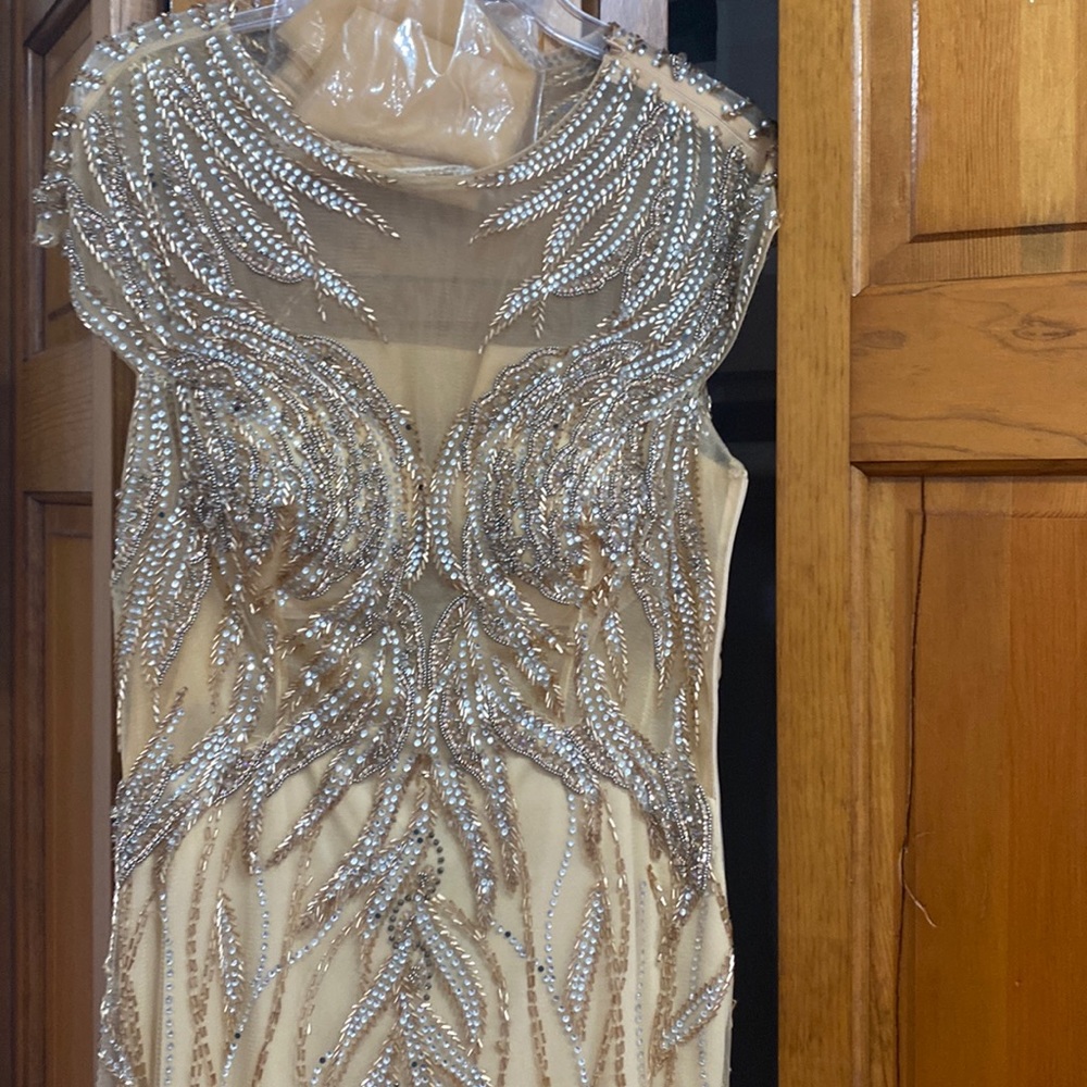 Terani evening gown with shawl